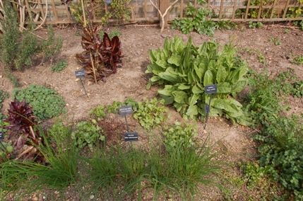 Geffrye Museum - Herb Garden