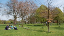 The Apple Cart Festival - Victoria Park