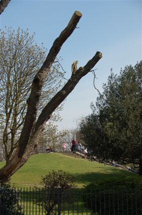 Victoria Park