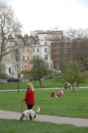 Primrose Hill Primrose Hill
