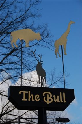 The Bull