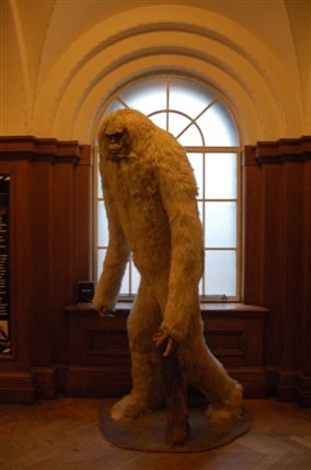 London Film Museum