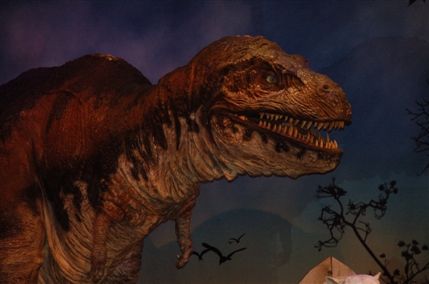 Ripley's Believe It Or Not! Museum London