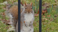 Waterlow Park