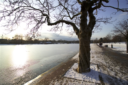 Hyde Park - The Serpentine in Winter - © Indusfoto