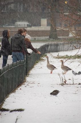 Ranelagh Road - St James's Park Ranelagh Road - St James's Park