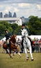 Lambeth Country Show photo Lambeth Country Show photo