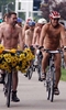 World Naked Bike Ride World Naked Bike Ride