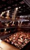 Dorfman Theatre photo