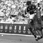 MINT Polo in the Park