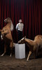 Animal Families and Me with Gordon Buchanan Animal Families and Me with Gordon Buchanan