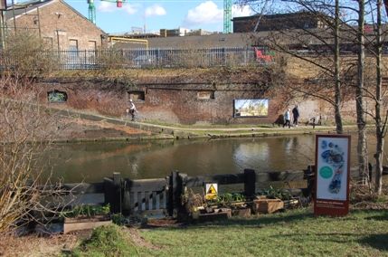 Camley Street Natural Park