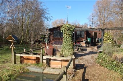 Camley Street Natural Park
