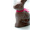 London's Top Chocolate Shops