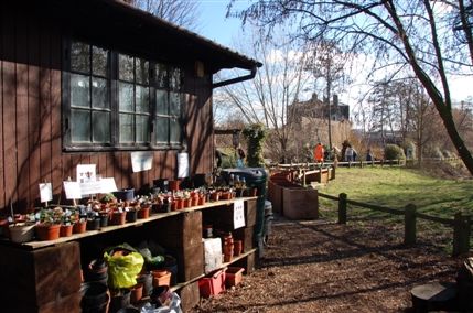 Camley Street Natural Park