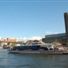 Thames Clippers