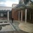 School of Oriental and African Studies (SOAS) - Roof Garden