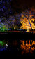 Enchanted Woodland Enchanted Woodland