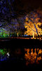 Enchanted Woodland Enchanted Woodland