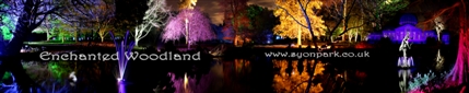 The Enchanted Woodland The Enchanted Woodland