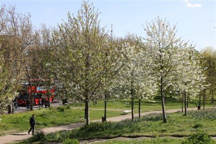 Mile End Park