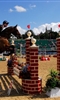 London Olympics: Equestrian Jumping photo