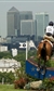 London Olympics: Equestrian Dressage