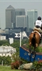 London Olympics: Equestrian Dressage photo