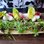 Dinner by Heston Blumenthal
