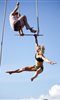 Tumble Circus: UpAbove photo