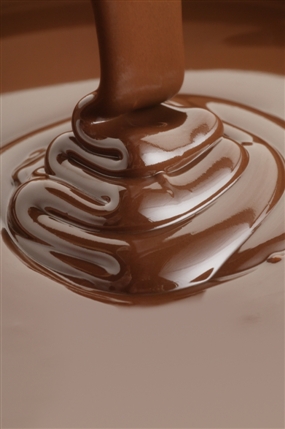 The Chocolate Festival