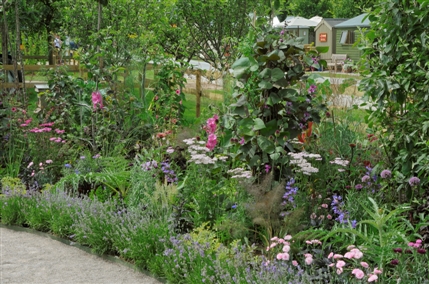 Hampton Court Palace Flower Show Hampton Court Palace Flower Show