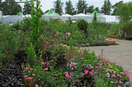 Hampton Court Palace Flower Show Hampton Court Palace Flower Show