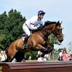 HorseWorld Live