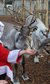 Meet Santa at ZSL London Zoo Meet Santa at ZSL London Zoo