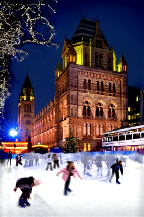 Natural History Museum Ice Rink Natural History Museum Ice Rink