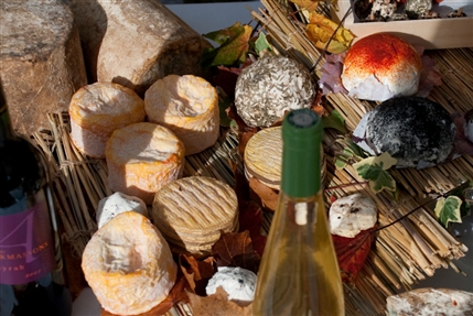 Cheese and Wine Festival