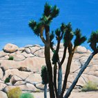 John Tierney: Cool Brio hotels title=