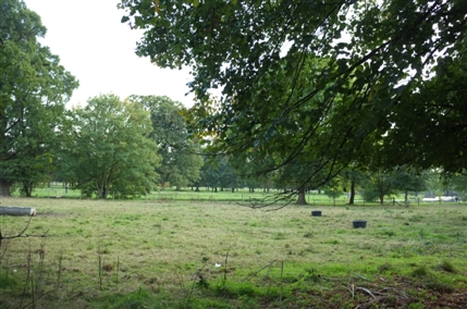 Syon House Car Park Syon House Car Park