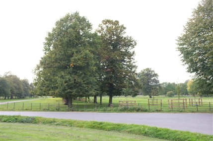 Syon Park Syon Park