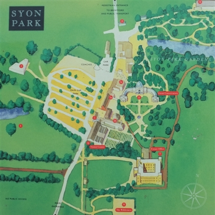 Syon Park Syon Park