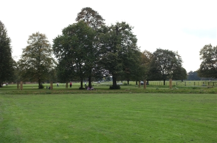 Syon Park Syon Park