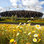Olympic Park Slideshow