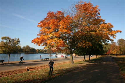 Hyde Park - Autumnal trees by The Serpentine - © Giles Barnard
