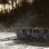 The Boat Race: Oxford v. Cambridge
