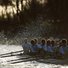 Oxford vs. Cambridge Boat Race