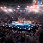 London Olympics: Boxing