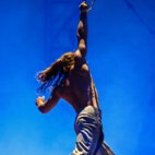 Nofit State Circus: Bianco hotels title=