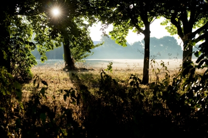 Ashenden Road