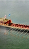 Thames Diamond Jubilee Pageant photo
